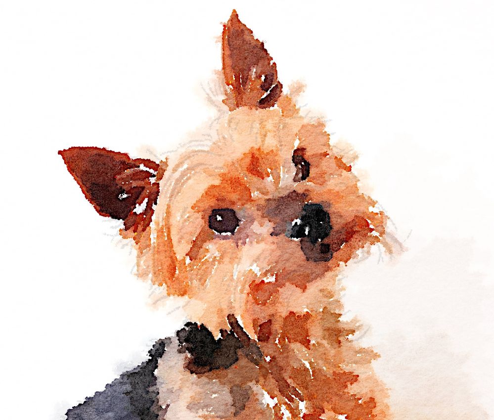 2014-04-16 13.18.41.jpg