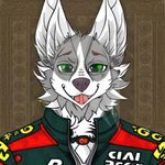 Profile (D4nkosWolf2)