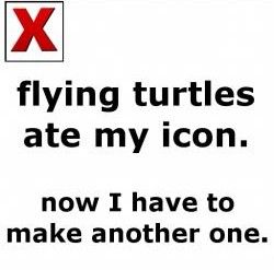 Flying turtles icon.jpg