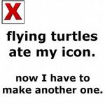 Flying turtles icon.jpg