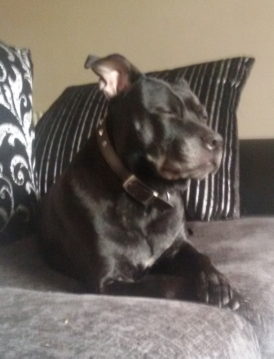 2019-04-09 20.11.22.png