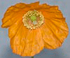 poppy.gif