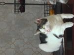IMG_0014.jpeg