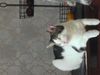 IMG_0014.jpeg