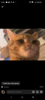 Screenshot_20260203-212845.png